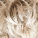 Ice Blond Root (101/22H+Root10)